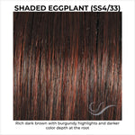 Load image into Gallery viewer, Shaded Eggplant (SS4/33)-Rich dark brown with burgundy highlights and darker color depth at the root
