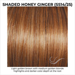 Load image into Gallery viewer, Shaded Honey Ginger (SS14/25)-Light golden brown with medium golden blonde highlights and darker color depth at the root

