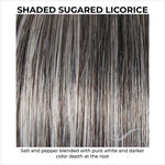 Load image into Gallery viewer, Shaded Sugared Licorice (SS44/60)-Salt and pepper blended with pure white and darker color depth at the root
