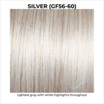 Load image into Gallery viewer, Silver (GF56-60)-Lightest gray with white highlights throughout
