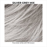 Load image into Gallery viewer, Silver Grey Mix-Pure silver white with 75% brown
