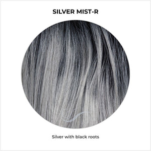 Silver Mist-R-Silver with black roots