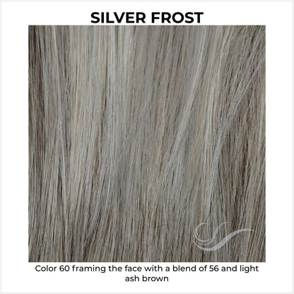 Silver Frost-Color 60 framing the face with a blend of 56 and light ash brown