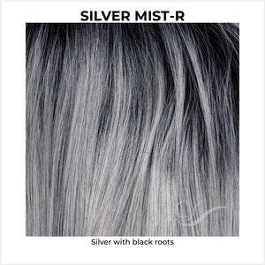 Silver Mist-R-Silver with black roots
