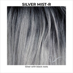 Load image into Gallery viewer, Silver Mist-R-Silver with black roots
