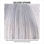 Load image into Gallery viewer, Silver Stone-Silver medium brown blend that transitions to more silver, then to silver bangs
