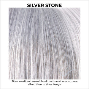 Silver Stone-Silver medium brown blend that transitions to more silver, then to silver bangs