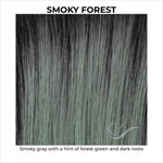 Load image into Gallery viewer, Smoky Forest-Smoky gray with a hint of forest green and dark roots
