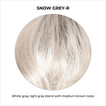 Load image into Gallery viewer, Snow Grey-R-White gray, light gray blend with medium brown roots
