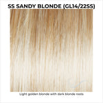 Load image into Gallery viewer, SS Sandy Blonde (GL14/22Ss)-Light golden blonde with dark blonde roots
