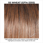 Load image into Gallery viewer, SS Wheat (GF14-22SS)-Light golden brown with medium champagne blonde highlights and darker color depth at the root
