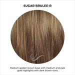 Load image into Gallery viewer, Sugar Brulee-R-Medium golden brown base with medium and pale gold highlights with dark brown roots
