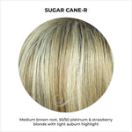Load image into Gallery viewer, Sugar Cane-R-Medium brown root, 50/50 platinum &amp; strawberry blonde with light auburn highlight
