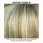 Load image into Gallery viewer, Sugar Cane-R-Medium brown root, 50/50 platinum &amp; strawberry blonde with light auburn highlight
