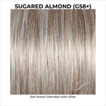 Load image into Gallery viewer, Sugared Almond (G58+)-Ash brown blended with silver
