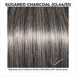 Load image into Gallery viewer, Sugared Charcoal (GL44/51)-Espresso and medium brown blended with silvery gray
