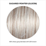 Load image into Gallery viewer, Sugared Pewter (GL51/56)-80% silvery gray blended with 20% brown
