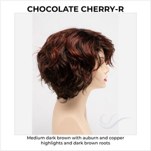 Suzi by Envy in Chocolate Cherry-R-Medium dark brown with auburn and copper highlights and dark brown roots