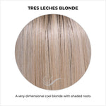 Load image into Gallery viewer, Tres Leches Blonde-A very dimensional cool blonde with shaded roots
