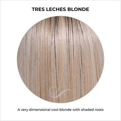 Tres Leches Blonde-A very dimensional cool blonde with shaded roots