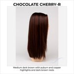 Load image into Gallery viewer, Veronica By Envy in Chocolate Cherry-R-Medium dark brown with auburn and copper highlights and dark brown roots
