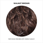 Load image into Gallery viewer, Walnut Brown-Dark brown blended with medium auburn
