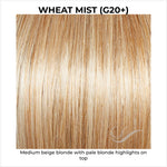 Load image into Gallery viewer, Wheat Mist (G20+)-Medium beige blonde with pale blonde highlights on top
