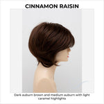 Load image into Gallery viewer, Whitney By Envy in Cinnamon Raisin-Dark auburn brown and medium auburn with light caramel highlights
