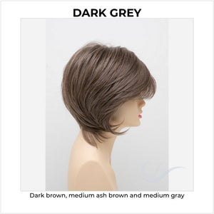 Whitney By Envy in Dark Grey-Dark brown, medium ash brown and medium gray