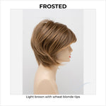 Load image into Gallery viewer, Whitney By Envy in Frosted-Light brown with wheat blonde tips
