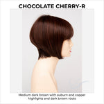 Load image into Gallery viewer, Yuri By Envy in Chocolate Cherry-R-Medium dark brown with auburn and copper highlights and dark brown roots
