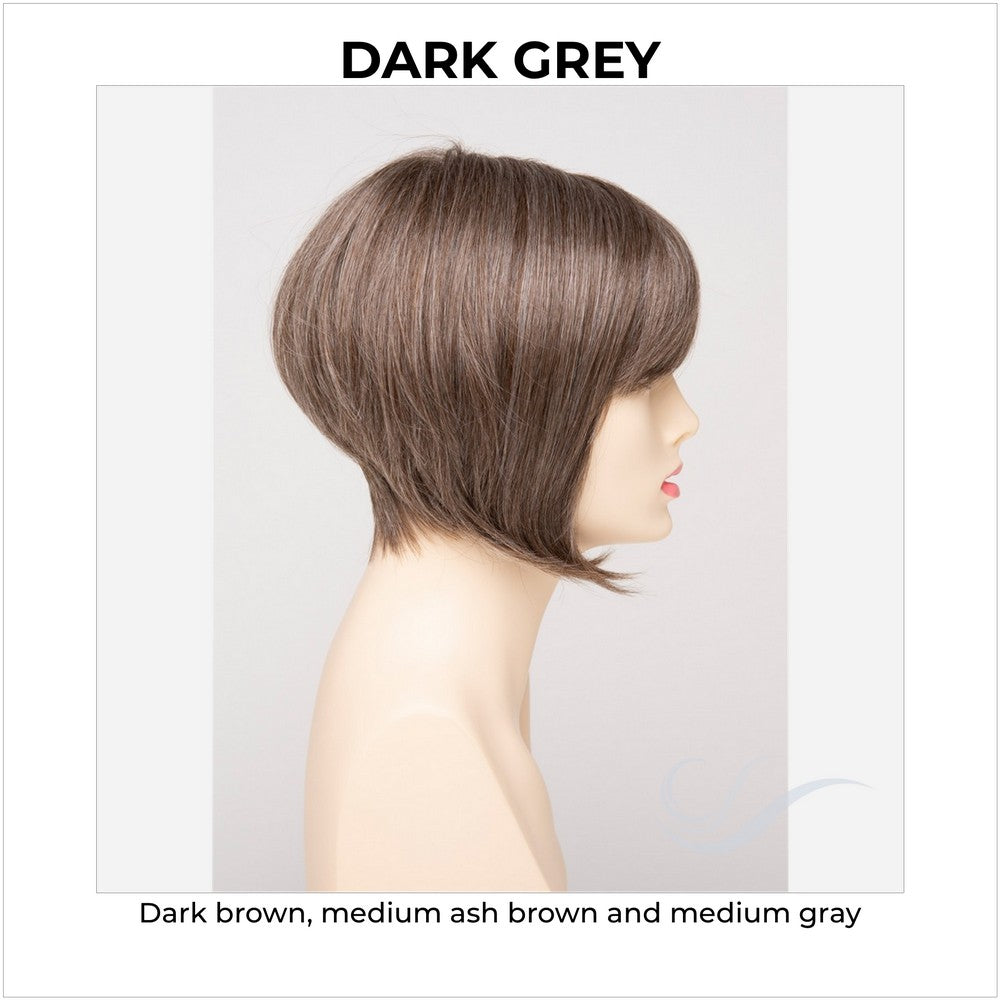 Yuri By Envy in Dark Grey-Dark brown, medium ash brown and medium gray