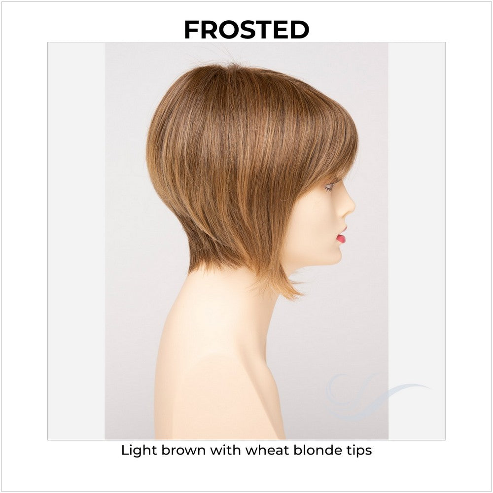 Yuri By Envy in Frosted-Light brown with wheat blonde tips